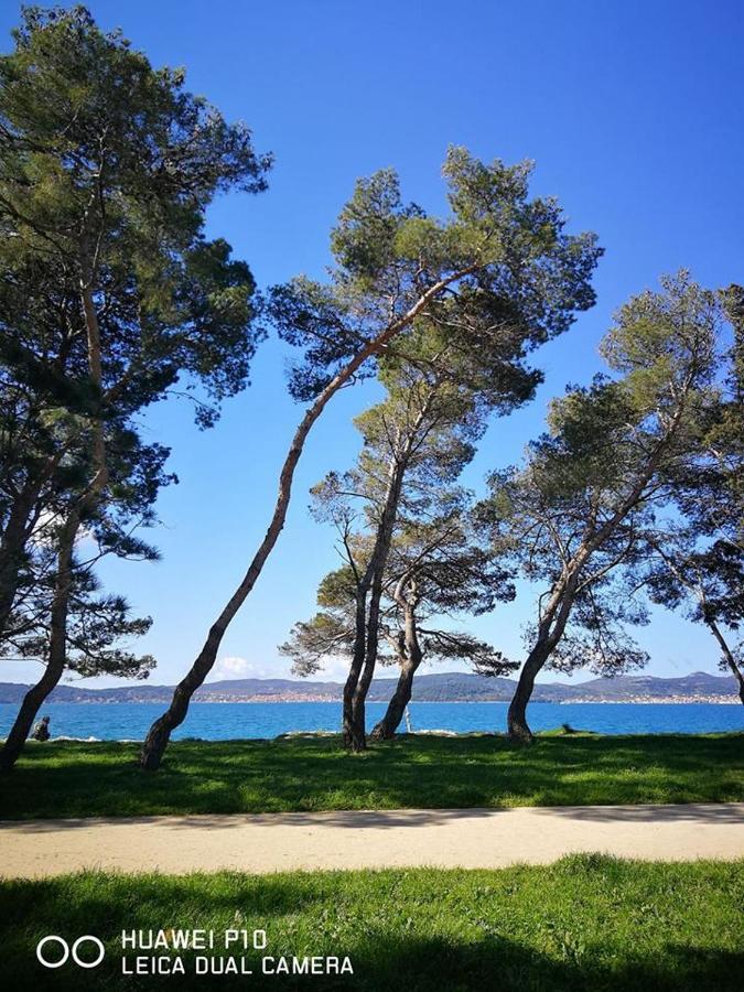 Lila Apartments Ζαντάρ Εξωτερικό φωτογραφία
